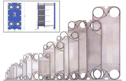 Standard Dimension
